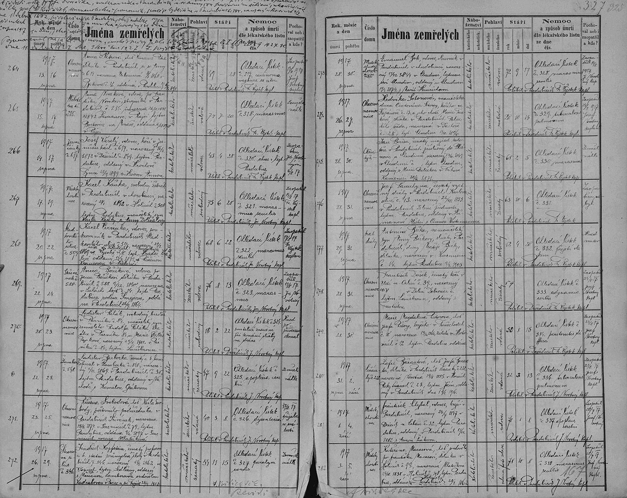 Certificato di morte di Jindřich Kopfstein, (Votice, 11 settembre 1862 - Pardubice, 26 agosto 1917)  - pittore cecoslovacco